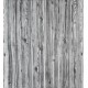Зебра
